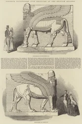 Nimroud-skulpturer, der netop er modtaget på British Museum